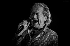 deeppurple-27