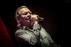 deeppurple-35
