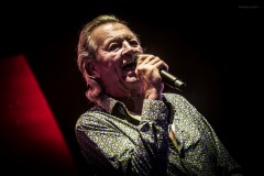 deeppurple-36
