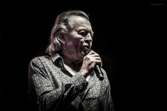 deeppurple-40