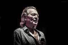 deeppurple-41