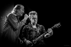 deeppurple-46