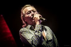 deeppurple-52