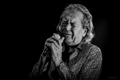 deeppurple-54