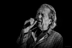 deeppurple-55