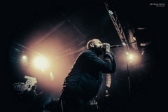 desolated-42