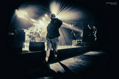 desolated-44