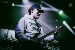 desolated-55