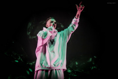 dieantwoord-100