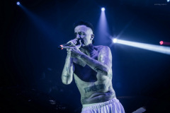 dieantwoord-114