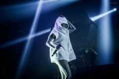 dieantwoord-115