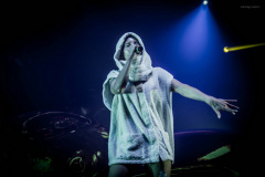 dieantwoord-12