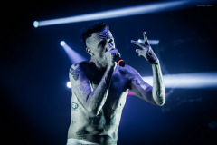 dieantwoord-14