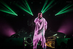 dieantwoord-19