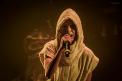 dieantwoord-22