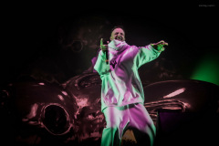 dieantwoord-36