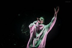 dieantwoord-38