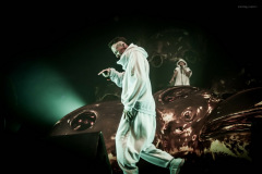 dieantwoord-39