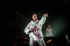 dieantwoord-45