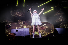 dieantwoord-67