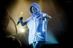 dieantwoord-7
