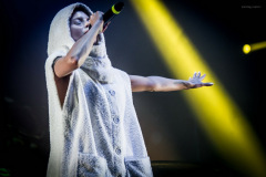 dieantwoord-71