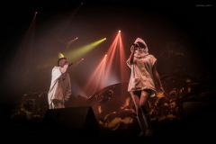 dieantwoord-79