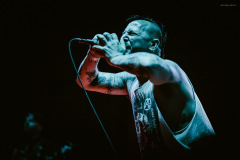 discharge-39