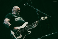 dongatto-16