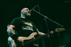 dongatto-17