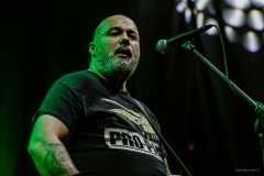 dongatto-21