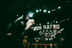 dongatto-24