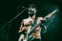 dongatto-29