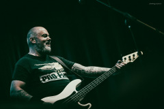dongatto-35