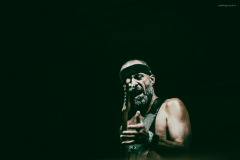 dongatto-36