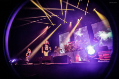 dt24-116