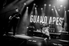 guano-6