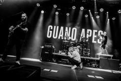guano-7