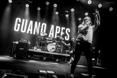 guano