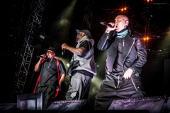 blackeyedpeas-14