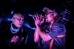 blackeyedpeas-20