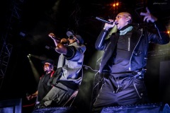 blackeyedpeas-46