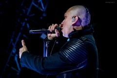 blackeyedpeas-48