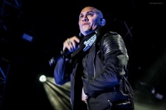 blackeyedpeas-49