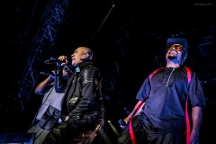 blackeyedpeas-52