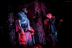 blackeyedpeas-60