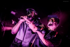 blackeyedpeas-87