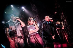 blackeyedpeas-9