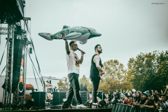 fish-14
