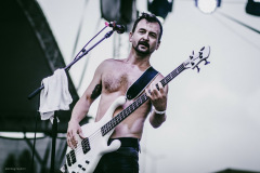 fish-40